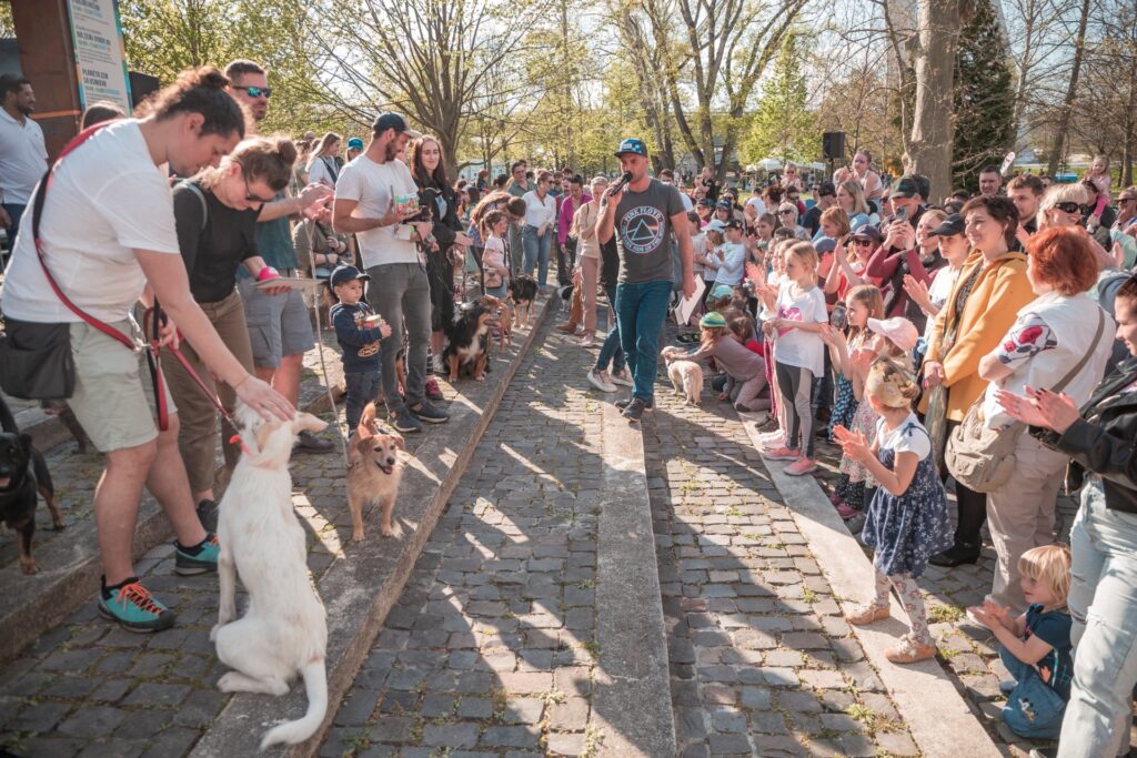 Súťaž orieškov počas Bratislavských mestských dní 2023