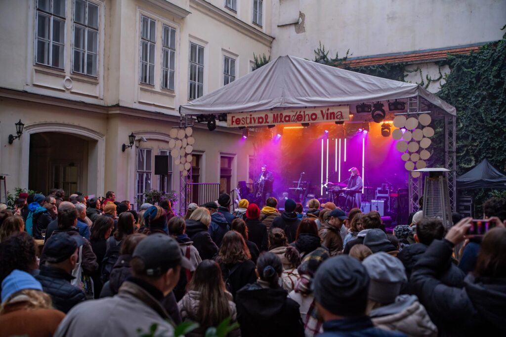 Festival mladého vína 2025, pódium, vystupujeNina Kohout  s kapelou