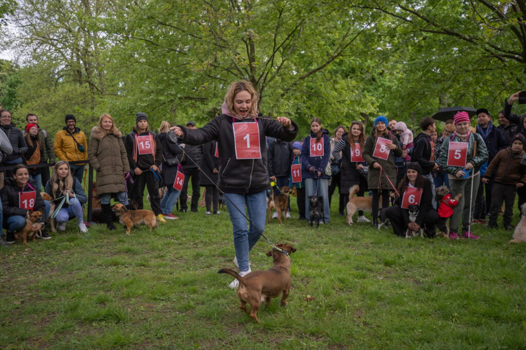 Súťaž o NAJ orecha BMD 2024