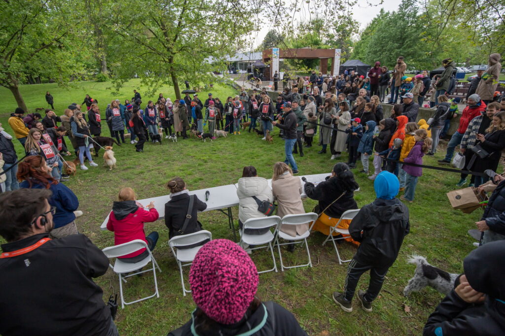 Súťaž o NAJ orecha BMD 2024