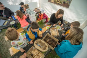 Eko aktivity pre deti počas BMD 2025