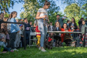 Súťaž o Naj orecha počas BMD 2025, pani vystavuje svojho orieška