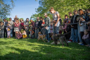 Kruh na predvázdanie orieškov počas súťaže Naj orech, BMD 2025