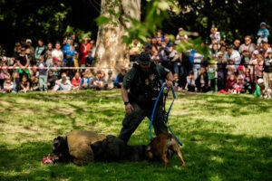 Ukážky prác kynológov