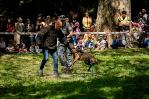 Ukážky prác kynológov