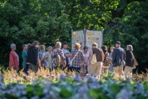 Letná bratislavská univerzita seniorov 